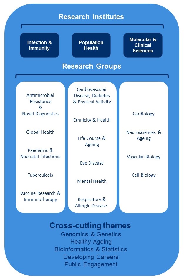 A diagram of research institutes and their research groups.