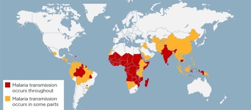 A map of countries affected by malarial transmission.