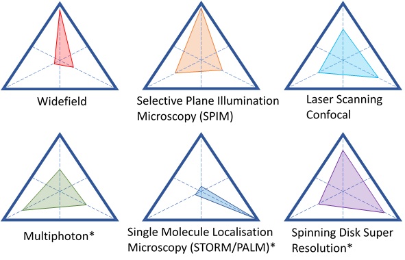 Microscopy Currency Triangles
