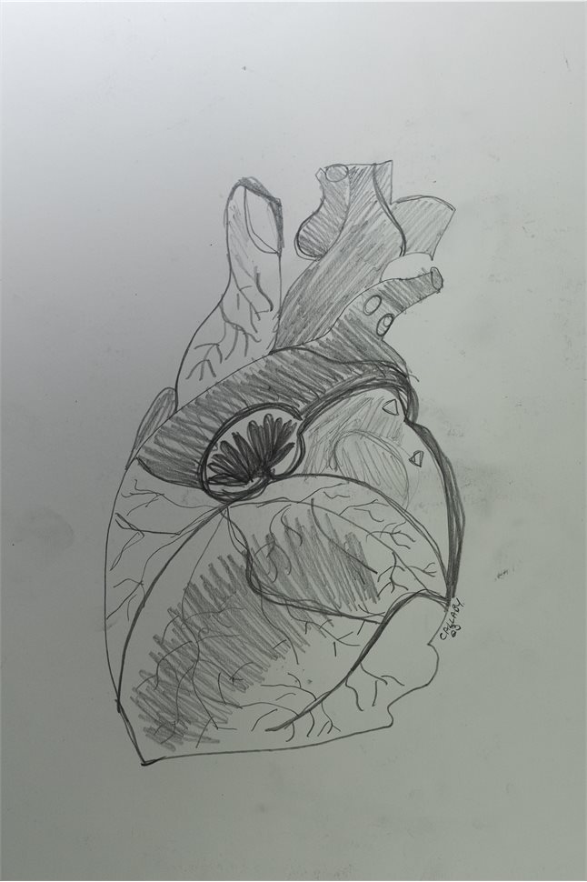 Heart drawing 4