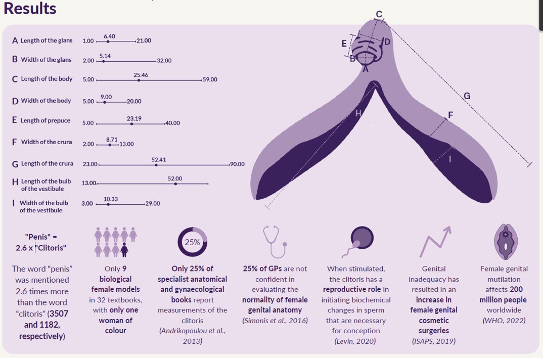 Female anatomy