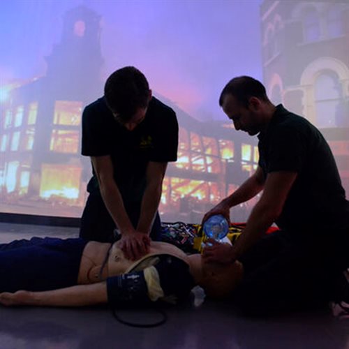 Paramedic simulation