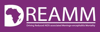 The DREAMM logo.