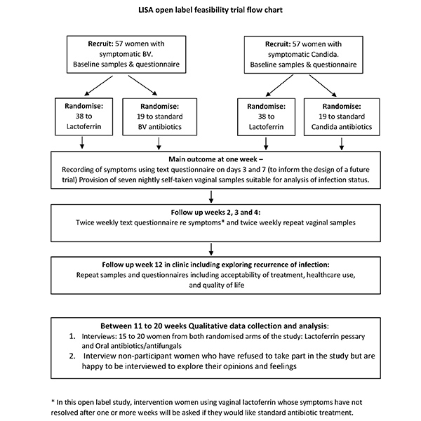 Flow chart to show the stages of the LISA trial.
