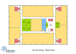 A thumbnail of a map of hunter sixth floor