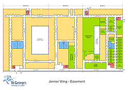 A thumbnail of a map of jenner basement