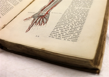 A photograph of a historical anatomy book showing a sketch of the arm and hand.