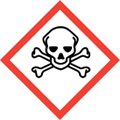 The acute toxicity or fatal hazard symbol.