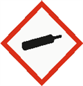 The gases chemical hazard symbol.