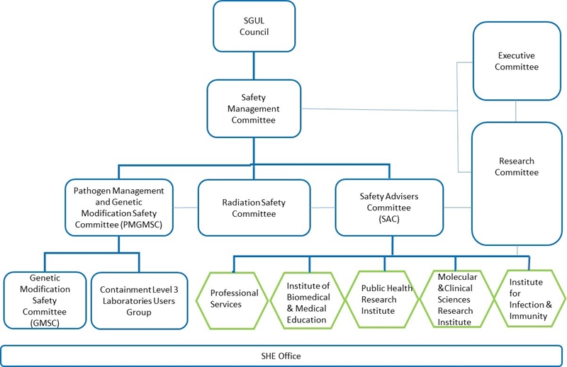 A chart of our governance structure.