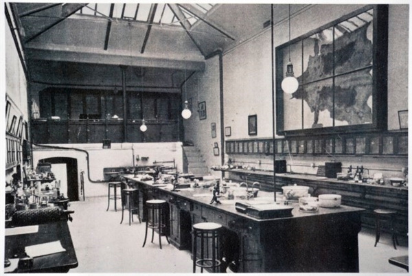 Photograph showing the hide of Blossom the cow, now located in the library at St George's, University of London
