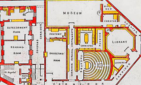 Plan for the ground floor of the new St George's Hospital Medical School at Hyde Park Corner, c.1868