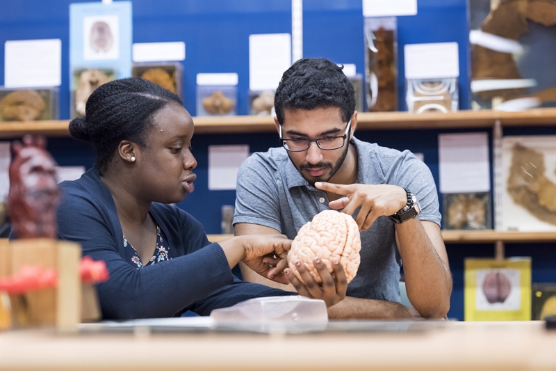 Students in the Pathology Museum.