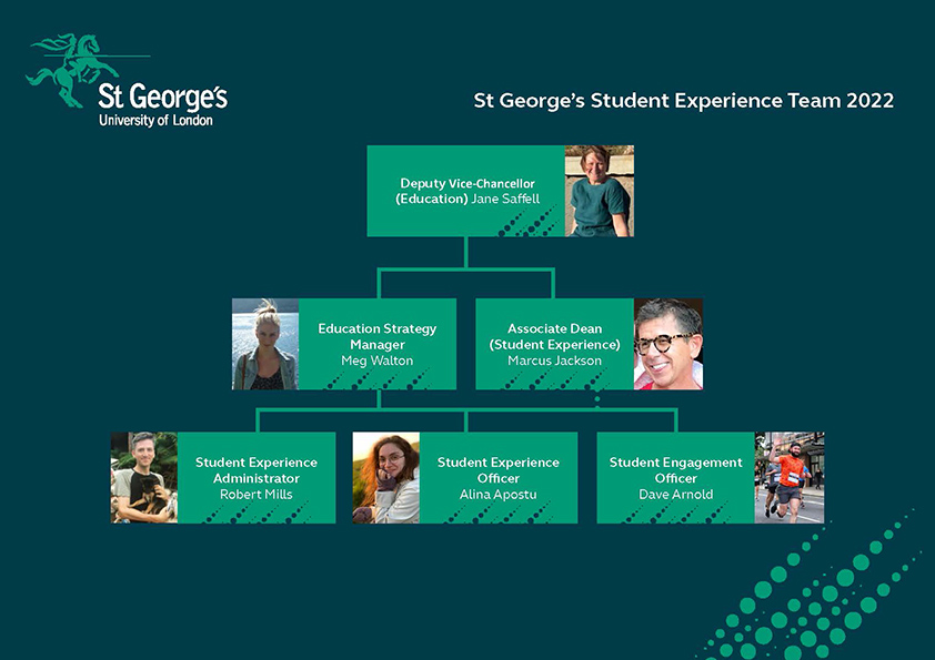 Student Experience Team Chart
