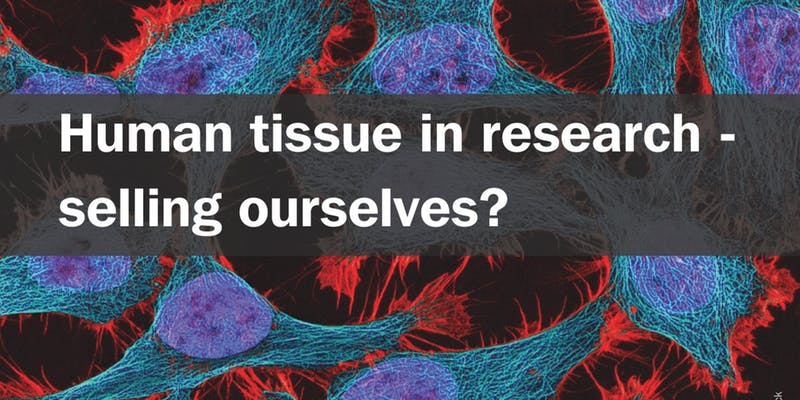 Human tissue in research