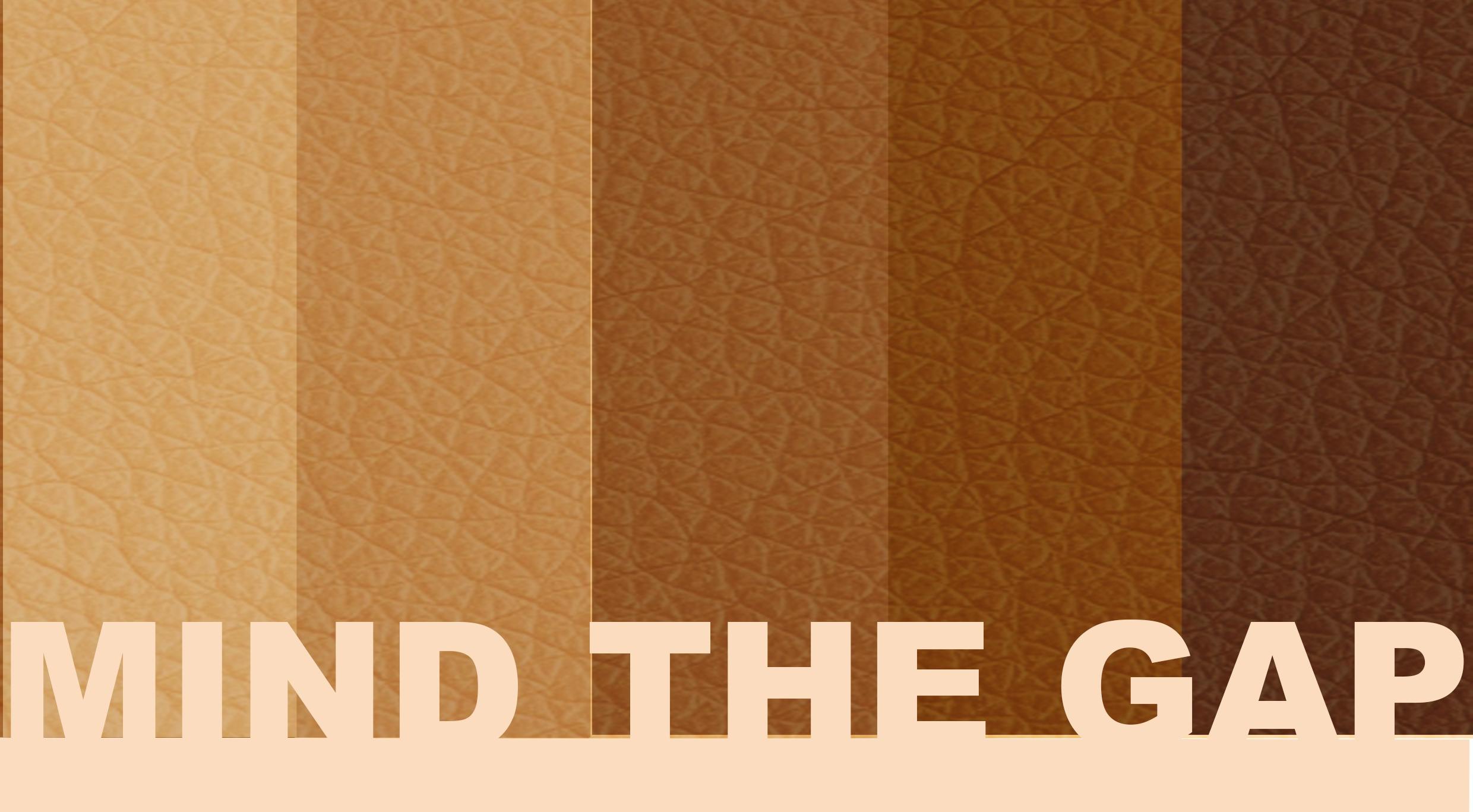 Mind the Gap book