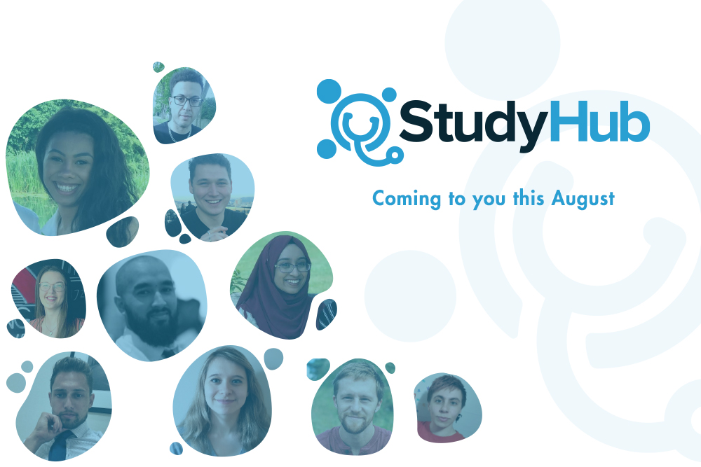 Study Hub Newsletter Header