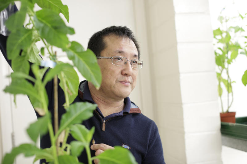 Professor Julian Ma, whose work at St George's has received funding from Sir Joseph Hotung