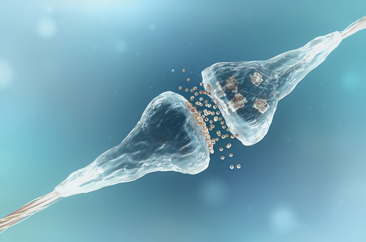 Synapse_and_neuron_cellsNEWS