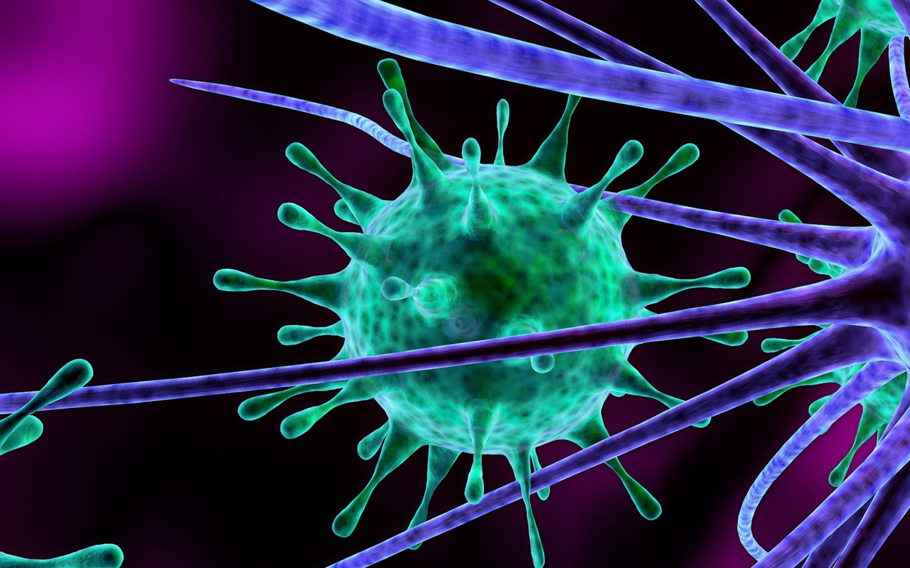 Viruses_attacking_nerve_cells_meningitis_rs_web_Cropped