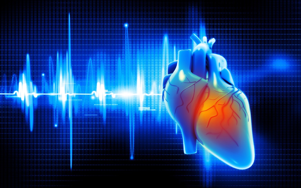 b2ap3_large_ecg-heart