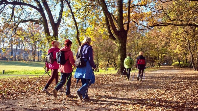 b2ap3_thumbnail_group-walking-2-crop