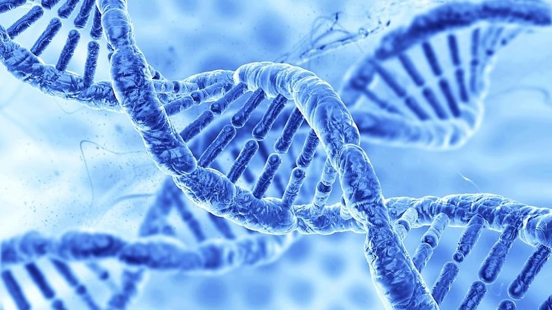 Human DNA - genomic medicine_med