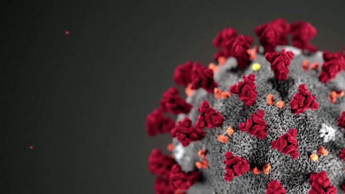 An illustration of a coronavirus cell.
