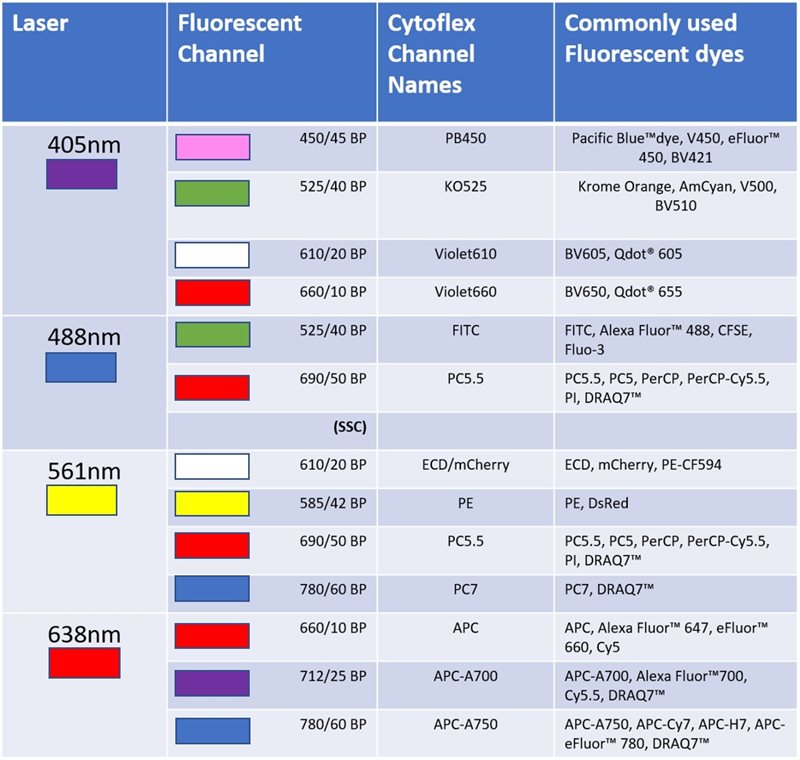 cytoflex table