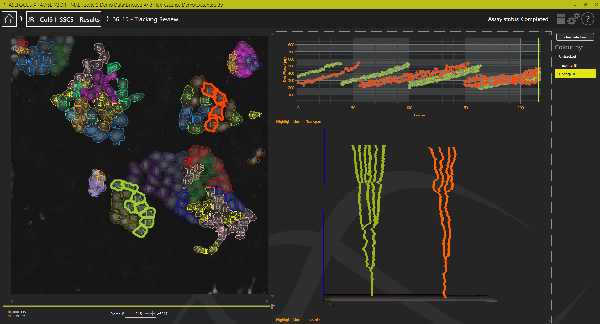 PhaseFocus analyse Lineage Tracking Screenshot