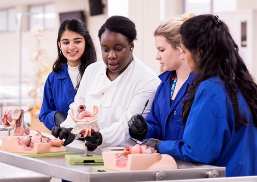 Students in dissecting room